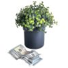 Ultimate Pot Plant Stash With a Lock